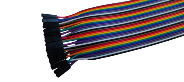 Male to Female Jumper Wire (40 Pin, 20 cm) i